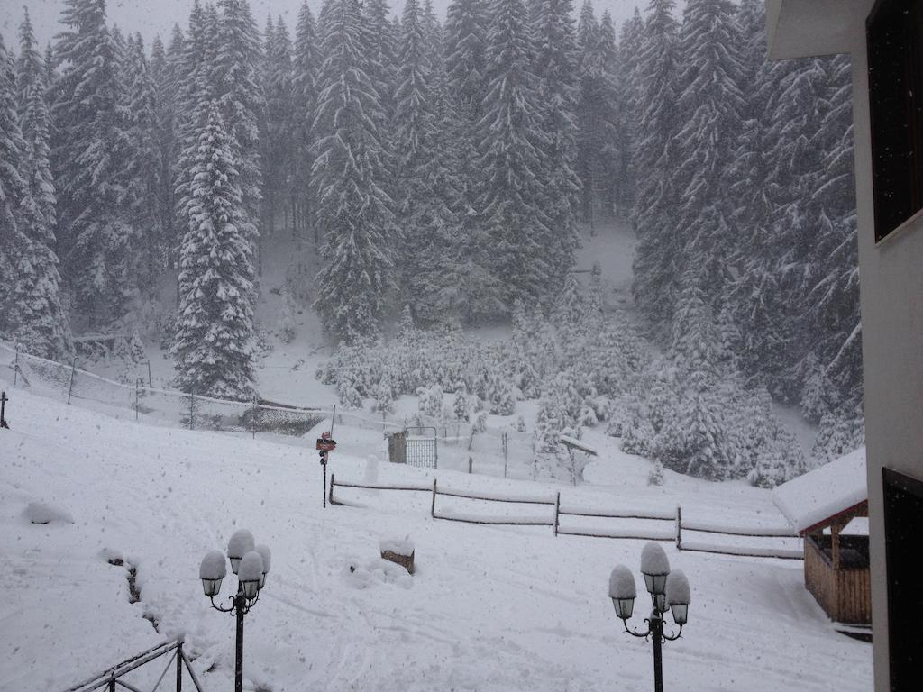 Ski Apartment In Castle Complex Pamporovo Room photo